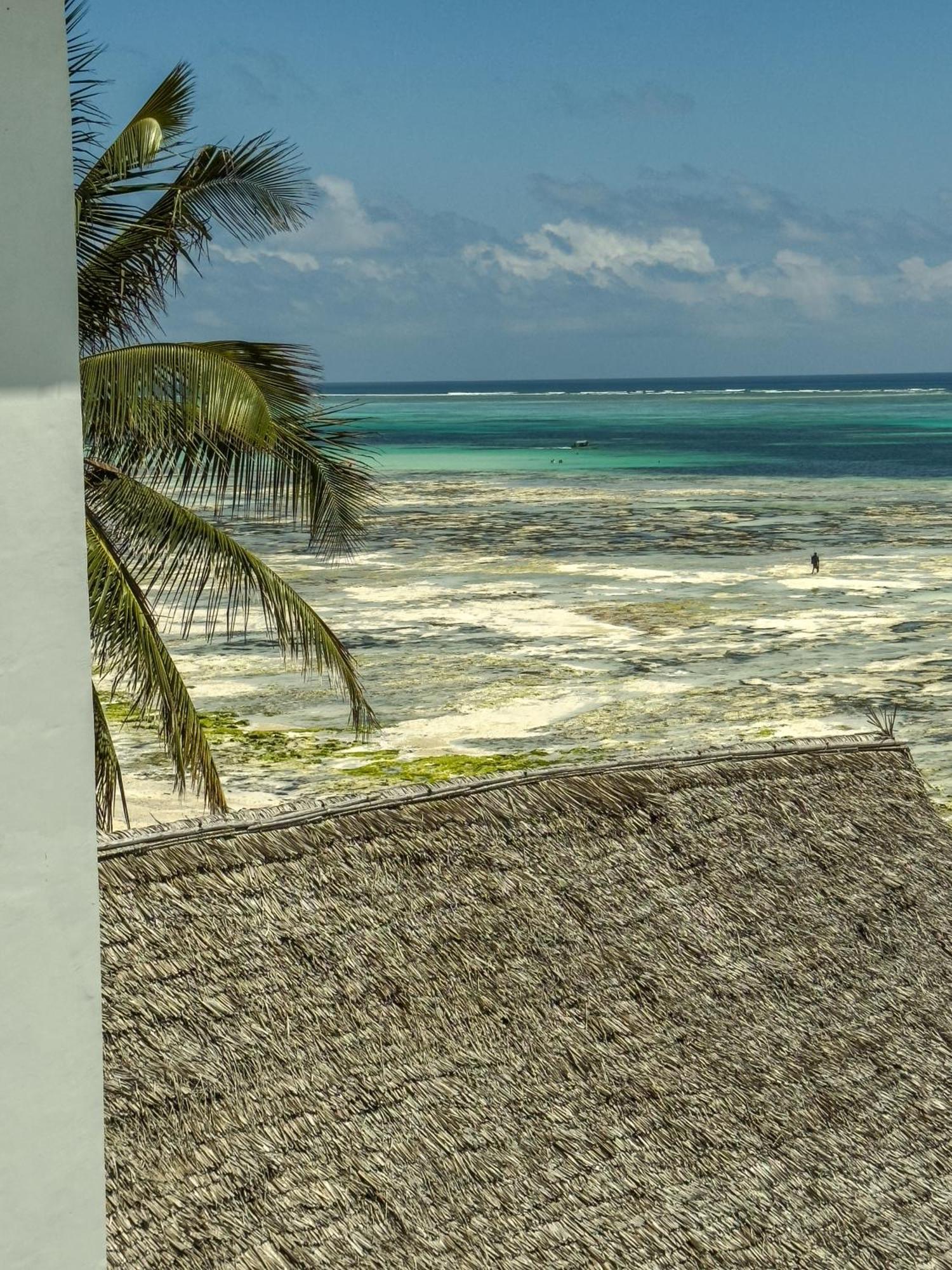 Mia Boutique Hotel Michamvi Kae Bagian luar foto